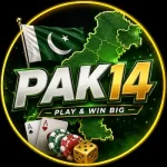 Pak14 game