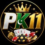 pk11 game