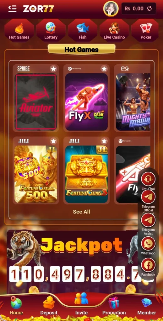 zor77 game